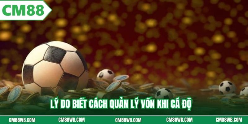 Lý do biết cách quản lý vốn khi cá độ