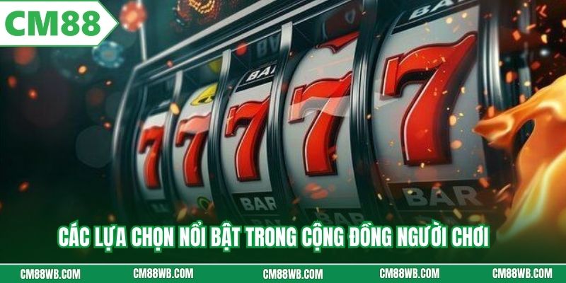 Các lựa chọn nổi bật trong cộng đồng người chơi 