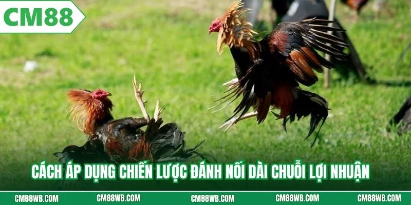 Cách áp dụng chiến lược đánh nối dài chuỗi lợi nhuận
