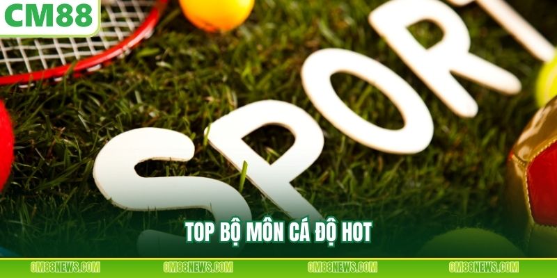 Top bộ môn cá độ hot